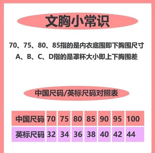 心脏问题更新地址怎么找？权威攻略教你三步搞定