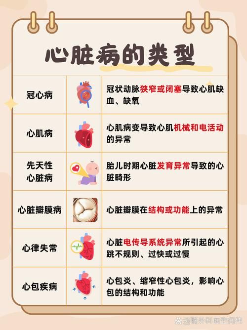 心脏问题最新版本哪家好？比较热门产品帮你决策！