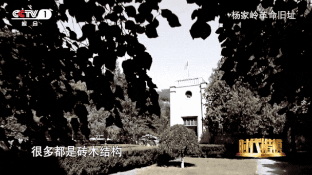忠诚的一课汉化版最新更新内容值不值得玩？真实评测！