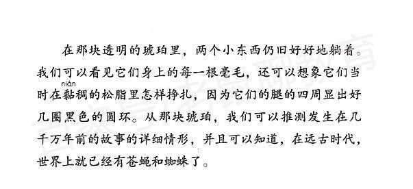 忠诚的一课版本大全效果如何？用户真实反馈解析！