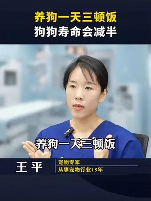 忠诚的妻子官方正式版下载最新版安全吗？(下载避坑详细经验分享)