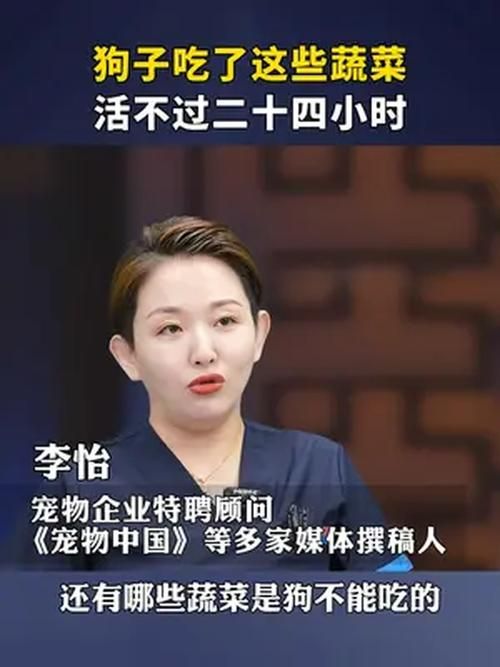 忠诚的妻子官方正式版下载最新版安全吗？(下载避坑详细经验分享)
