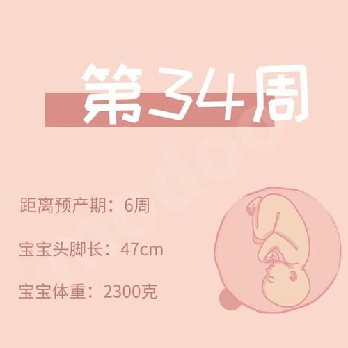怀孕无双更新地址官方网址是啥？直接下载安装步骤！