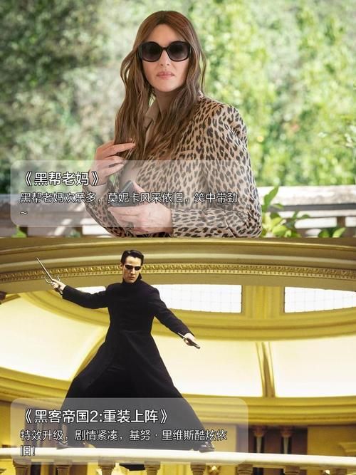 怎么免费下载时尚女王莫妮卡第一季完结安卓版？(合法地址分享指南)