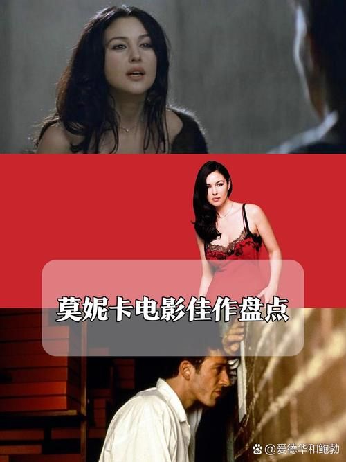 怎么免费下载时尚女王莫妮卡第一季完结安卓版？(合法地址分享指南)