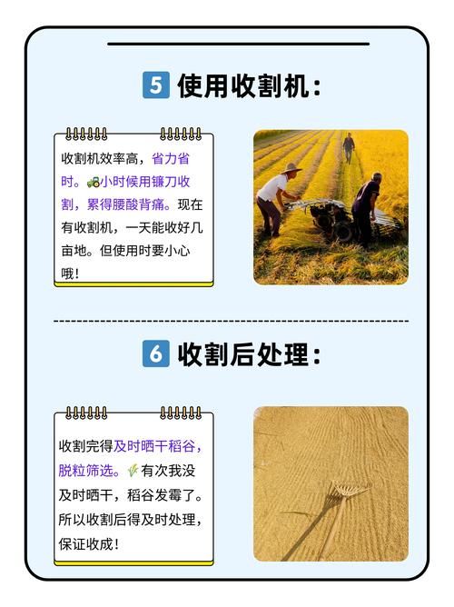 怎么提升五谷神稻荷使用效果？(五个小技巧超实用！)