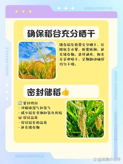 怎么提升五谷神稻荷使用效果？(五个小技巧超实用！)