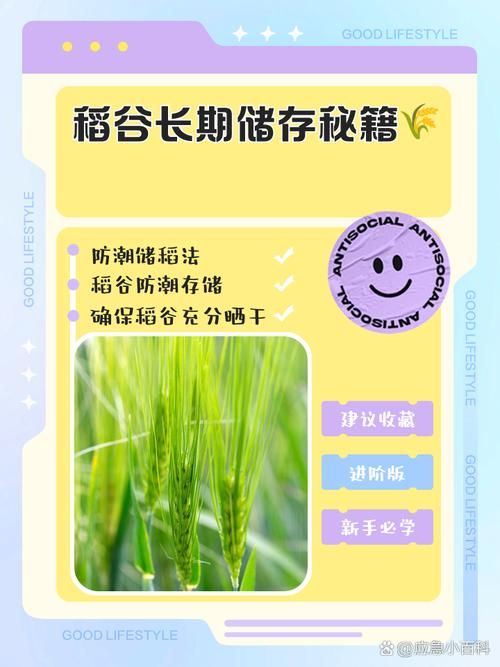 怎么提升五谷神稻荷使用效果？(五个小技巧超实用！)