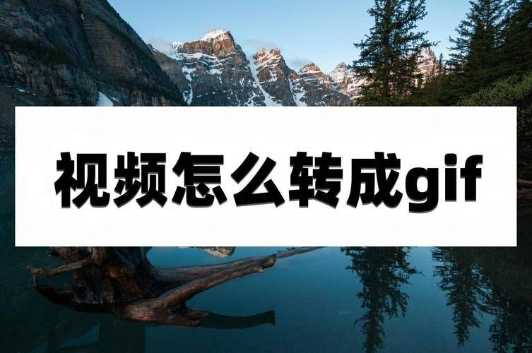 怎么查看创世秩序最新版本？(三步教你轻松搞定！)