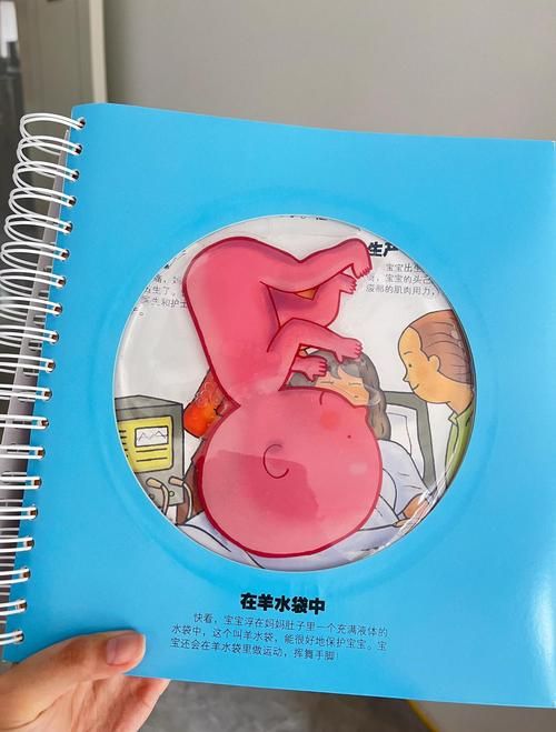 性启蒙汉化版最新更新内容怎么使用？(简单操作步骤分享！)