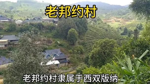 想玩边境之村去哪下载？最新地址获取全攻略