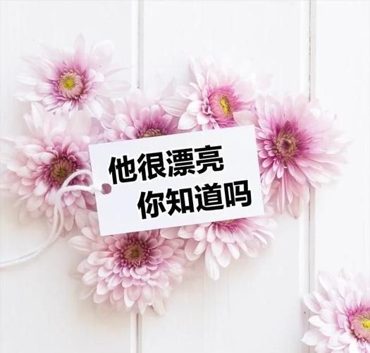 愛欲の色最新讲的是什么(完整故事线索深度讲解)