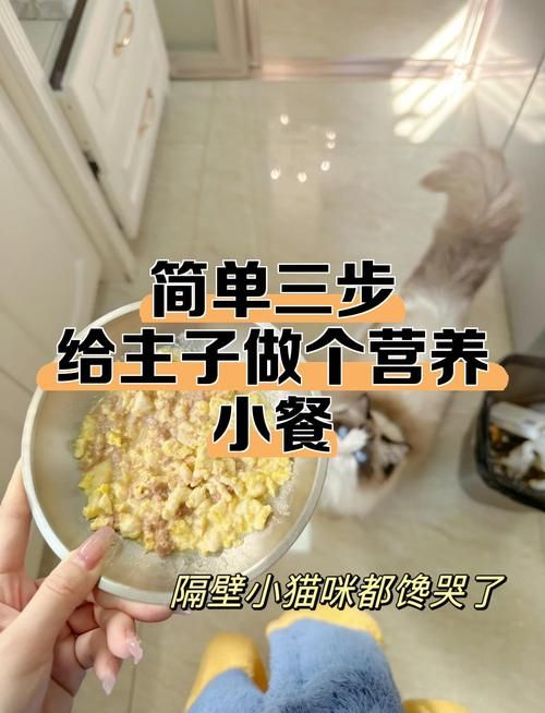 我们的家官方网站怎么用？(简单三步轻松上手指南)