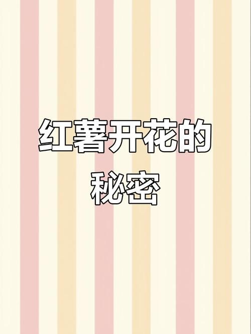 我很荣幸更新地址的原因是什么？专家揭秘背后三大秘密！