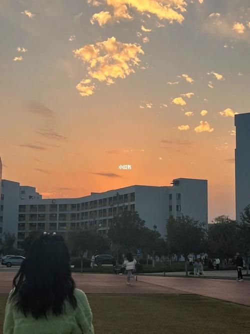 我的大学生活S3去哪下载？这几个平台超好用！