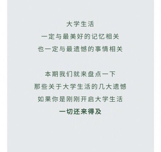 我的大学生活S3去哪下载？这几个平台超好用！