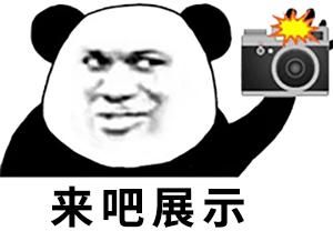 我的大学生活S3更新地址在哪看？高效观看秘诀解析！