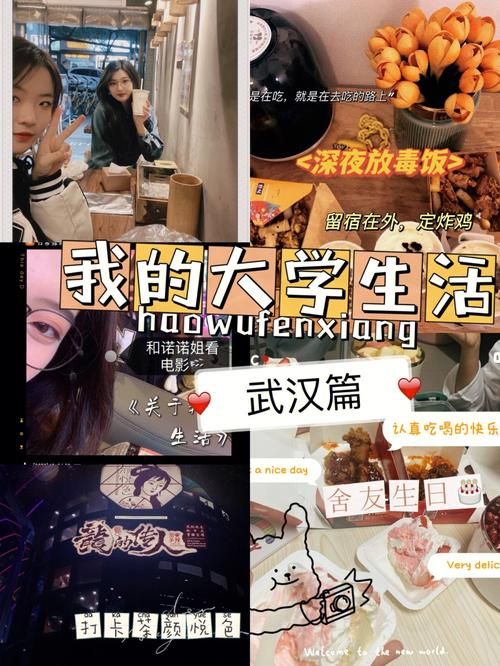 我的大学生活官方网站如何注册？(快速注册指南)