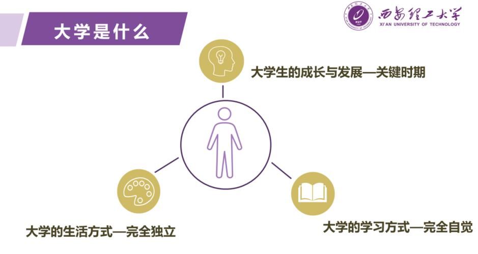 我的大学生活官网下载最新版本？链接与方法在这儿！