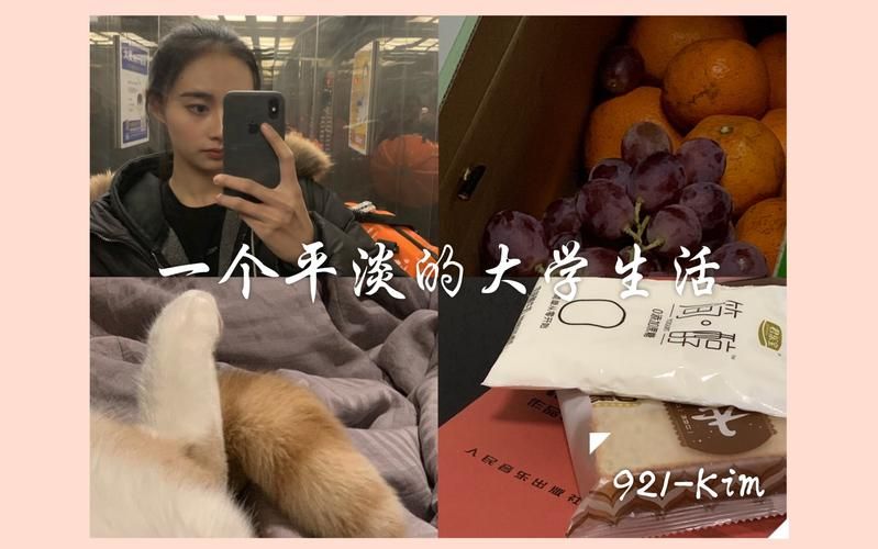 我的大学生活官网更新了啥(最新消息抢先看盘点)