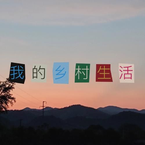 我的大学生活最新版本在哪儿发？热门平台推荐速看！