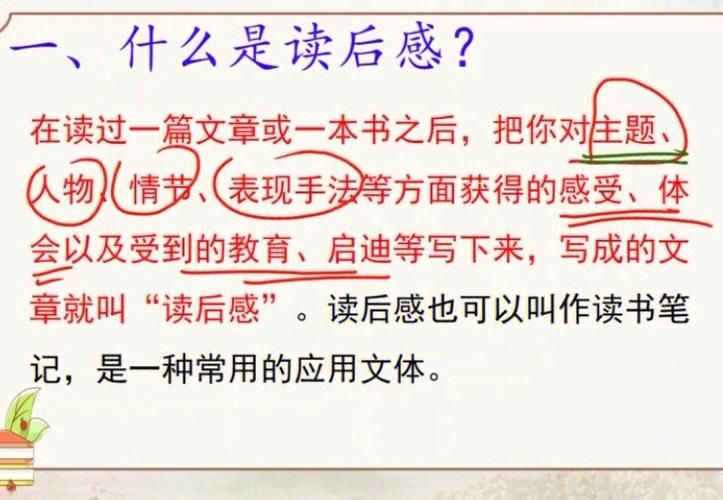我的姐姐阿丽亚安卓读后感怎么写(简单写作方法)