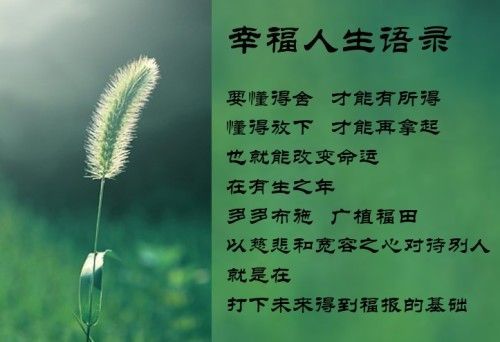 我的幸福人生1.0更新地址哪里下载？靠谱链接轻松获取！