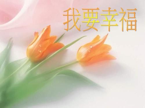 我的幸福人生1.0最新版本怎么下载(官方链接5分钟搞定安装)