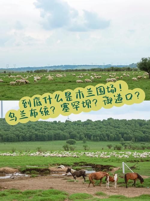 我的播种农场下载地址在哪安全？避坑指南最新推荐！