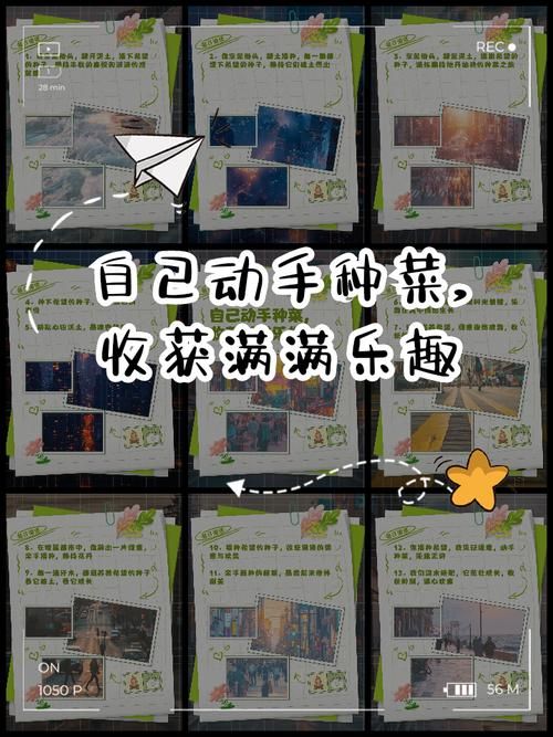 我的播种农场最新版本测评？真实体验分享收获心得！