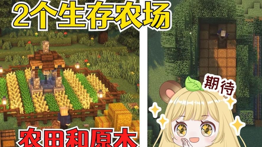 我的播种农场汉化版更新后好不好玩？玩家实测分享！