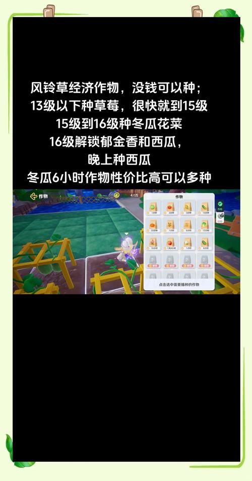 我的播种农场游戏攻略种植高效方法(收成翻倍专家建议)
