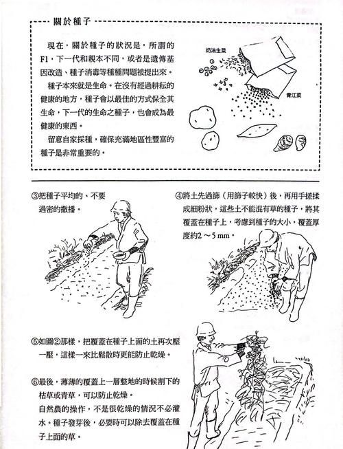 我的播种农场版本大全如何下载？手把手教你快速获取