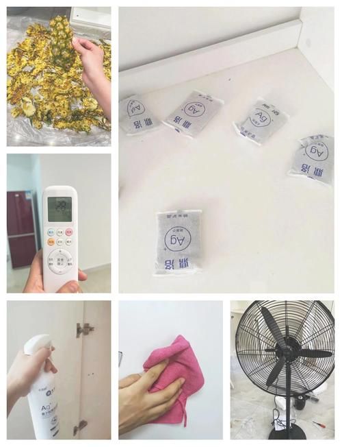 我的新邻居下载点在哪？推荐平台避坑超实用贴士！