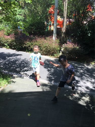 我的秘密暑假时光2汉化版下载免费吗？获取方法大揭秘！