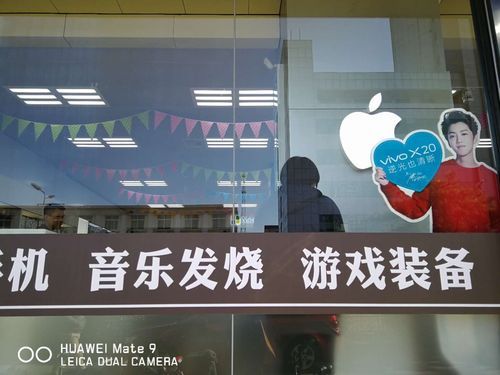 我的都市生活在哪下载在哪下载？热门平台推荐安全无风险！