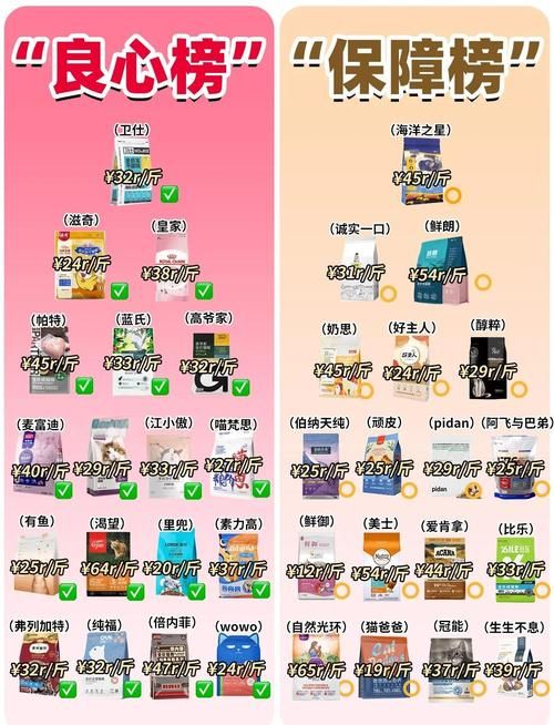 我该怎么选官方网站不踩坑？专家分享三大避雷秘籍