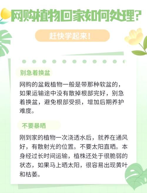 我该怎么选官网新手必看？常见误区避坑指南！
