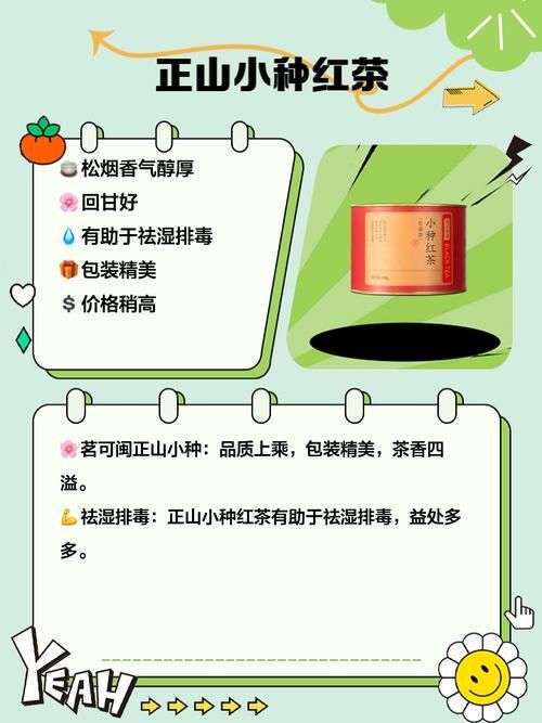 我靠双修拯救世界下载地址哪里能下载？(对比热门平台推荐这几家)