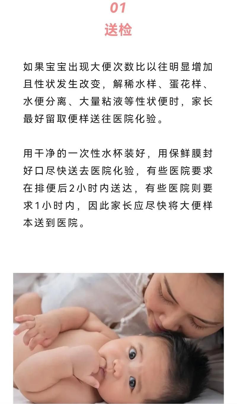 房东养成记下载失败怎么办？(常见问题解决方法)