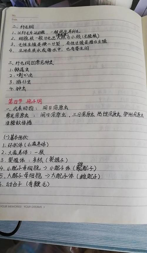 房东养成记最新版本攻略秘籍？(专家分享快速成长诀窍)