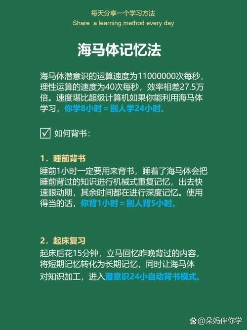 扭曲的记忆版本大全使用指南？(简单步骤轻松上手)