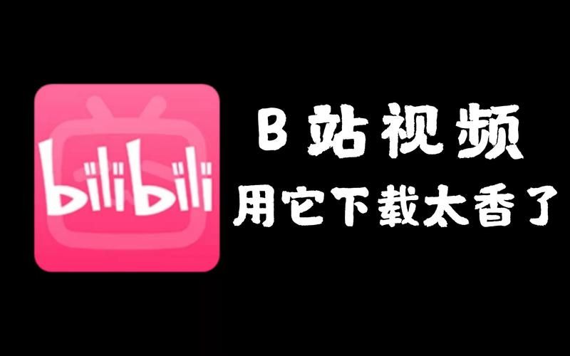 找不到VAM1.9.8下载入口？这三个有效地址收藏备用