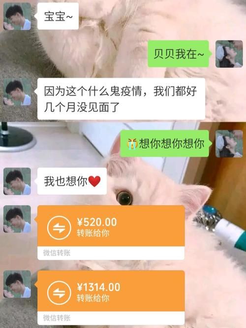 找不到真爱就扑街下载地址哪里下快？(靠谱平台推荐对比)