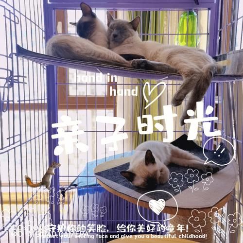 找不到真爱就扑街下载方法(新手小白避坑秘笈)
