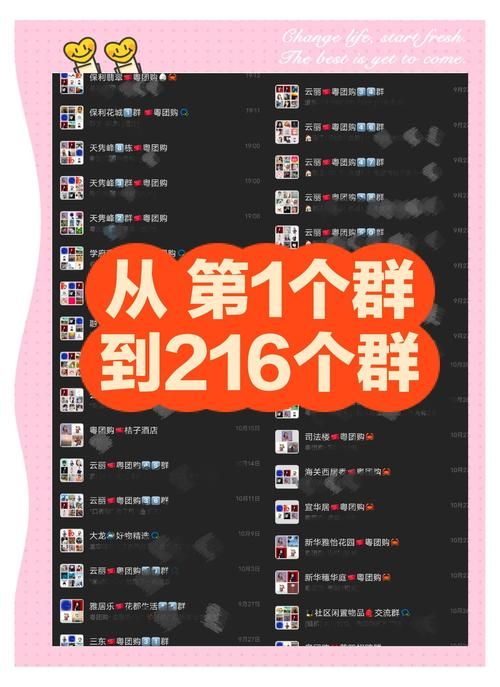 拓君和他的九个姐妹官网怎么进？几步骤快速访问官网入口！