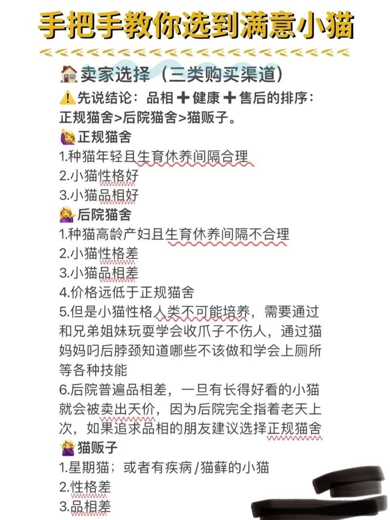 拓君和他的九个姐妹汉化版安全吗？亲测下载避坑指南曝光