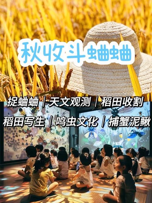 捉泥鳅蛐蛐怎么玩最开心？教你乡村暑假快乐捕捉游戏技巧
