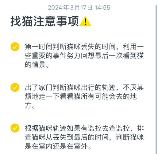 捡到千年猫官网登录不了？常见问题解决方法