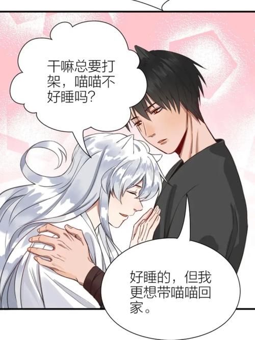 捡到千年猫官网登录不了？常见问题解决方法